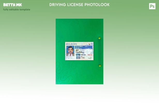 модерен стил САД Делавер верзија на возачка дозвола photolook шаблон FRONT